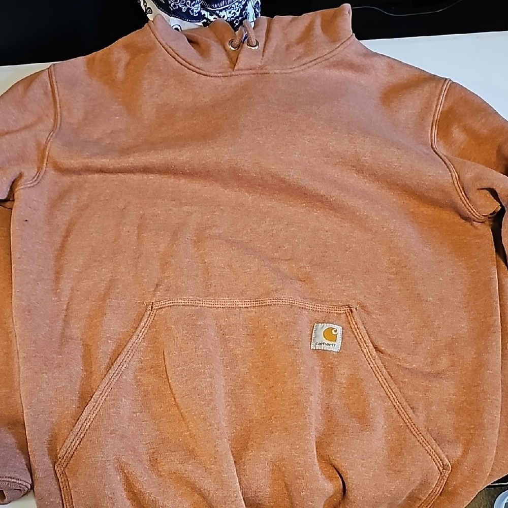 Carhartt Men's Burnt Orange Hoodie